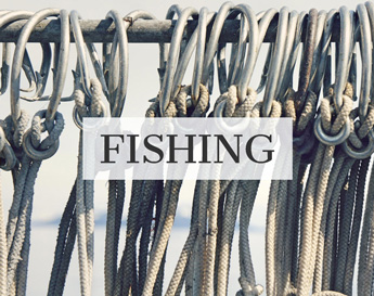 Alaskan charters fishing image