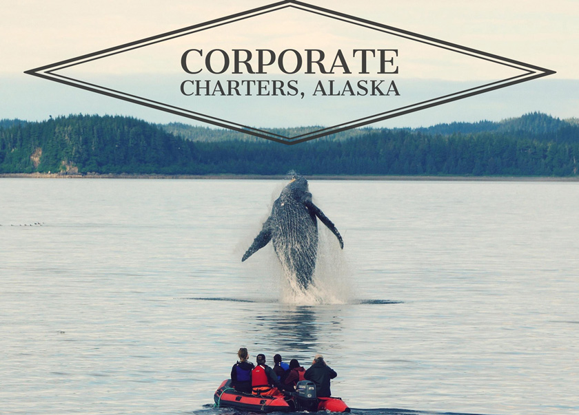 Corporate Alaska Charters Prince William Sound Header Image