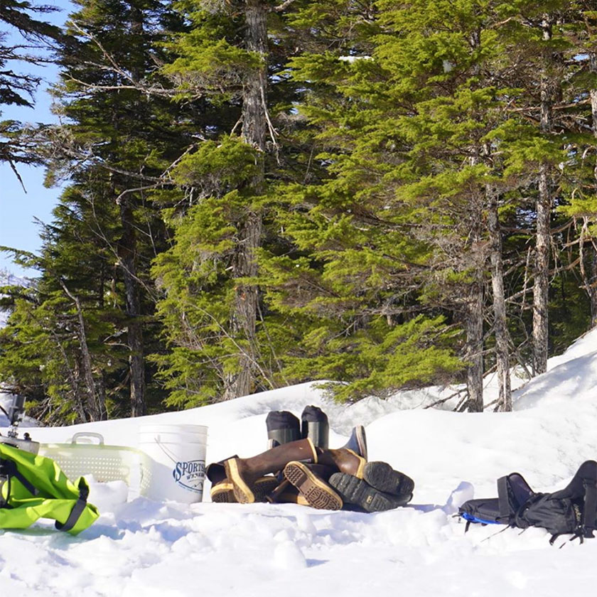 Pics of guided back country ski trips in Prince William Sound 