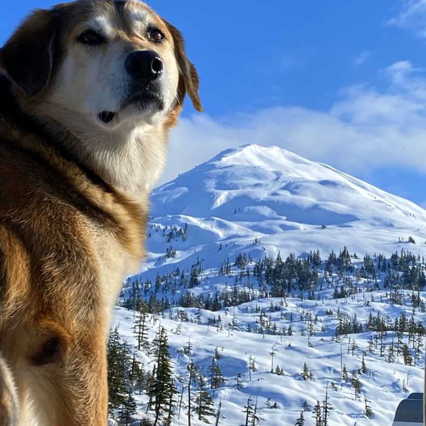 Pics of guided back country ski trips in Prince William Sound 